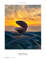 Clamshell still life photography at sunrise