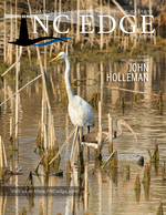 Egret and Ibis in the Marsh wildlife photography
