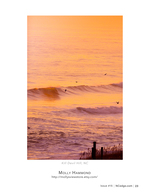 Golden Wave and Pelicans landscape photography