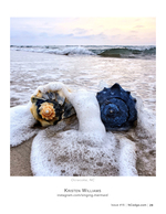 Shells in the Surf still life photography