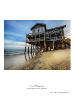 Beach House Run pet photography