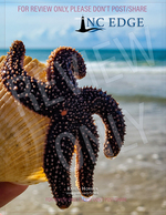 Starfish and Shell still life photography