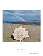 Rainbow Over the Whelk Shell still life photography