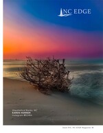 driftwood landscape photography
