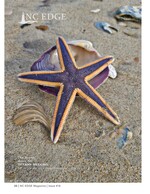 starfish wildlife photography