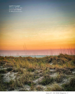 Beach dune sunset landscape photography