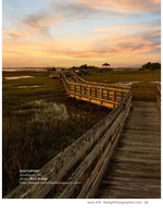 Marsh boardwalk landscape photography