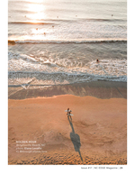 Aerial surfers beach photography