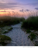 Dune path sunrise landscape photography