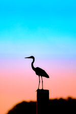 New Bern, NC